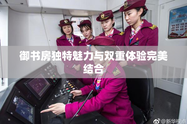 御书房独特魅力与双重体验完美结合