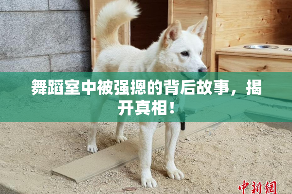 舞蹈室中被强摁的背后故事，揭开真相！