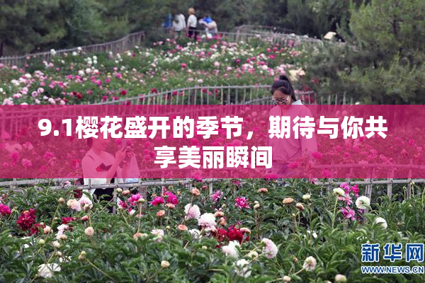 9.1樱花盛开的季节，期待与你共享美丽瞬间