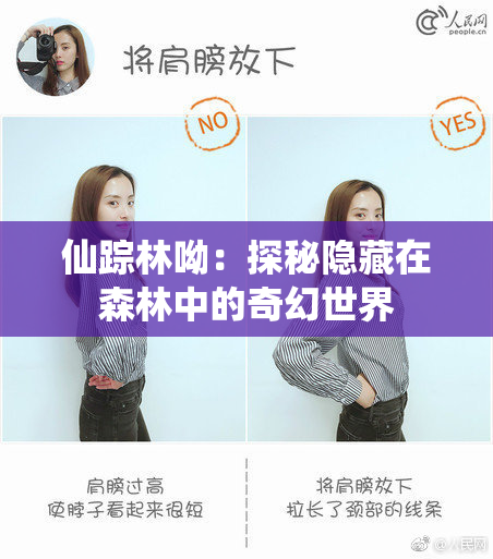 仙踪林呦：探秘隐藏在森林中的奇幻世界