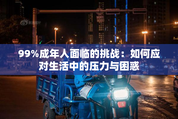 99%成年人面临的挑战：如何应对生活中的压力与困惑