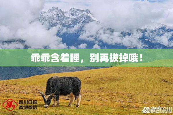 乖乖含着睡，别再拔掉哦！
