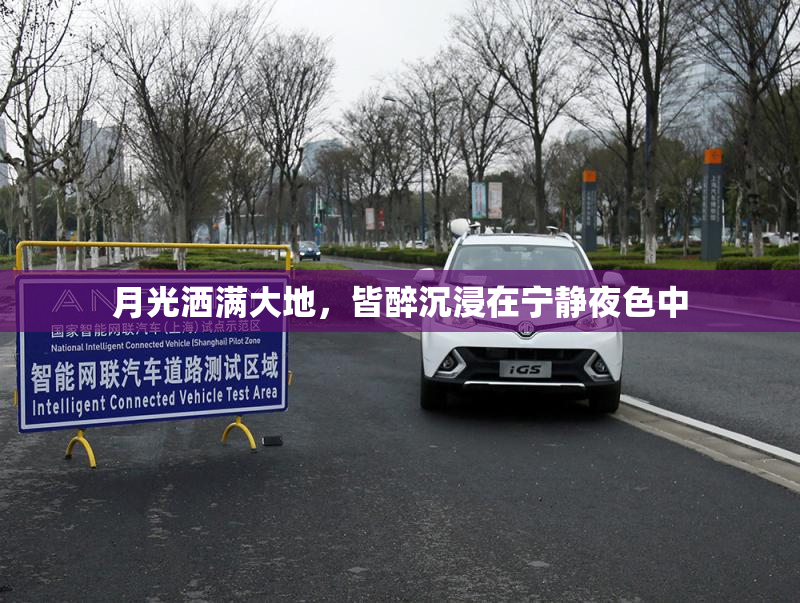 月光洒满大地，皆醉沉浸在宁静夜色中