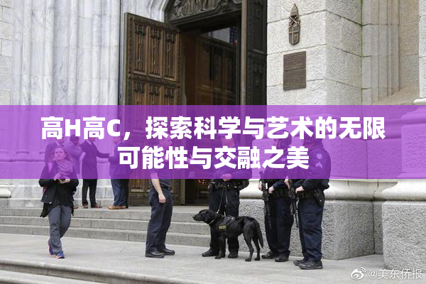 高H高C，探索科学与艺术的无限可能性与交融之美