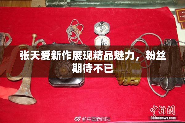 张天爱新作展现精品魅力，粉丝期待不已