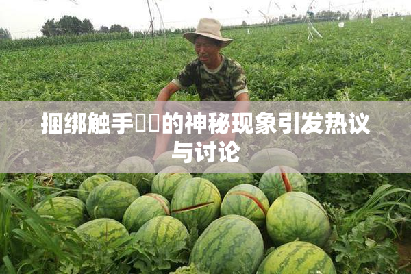 捆绑触手❌‌的神秘现象引发热议与讨论