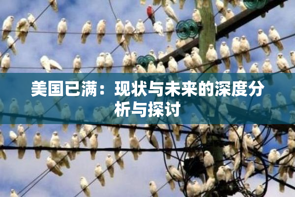 美国已满：现状与未来的深度分析与探讨