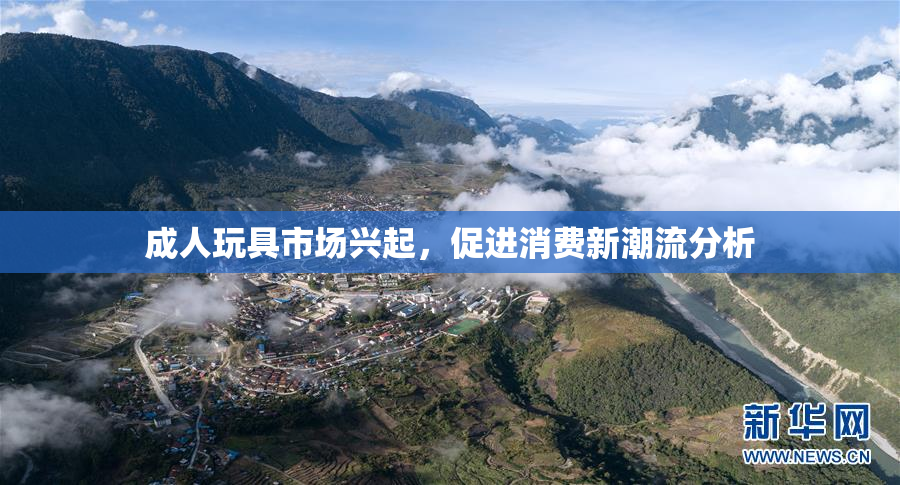 成人玩具市场兴起，促进消费新潮流分析