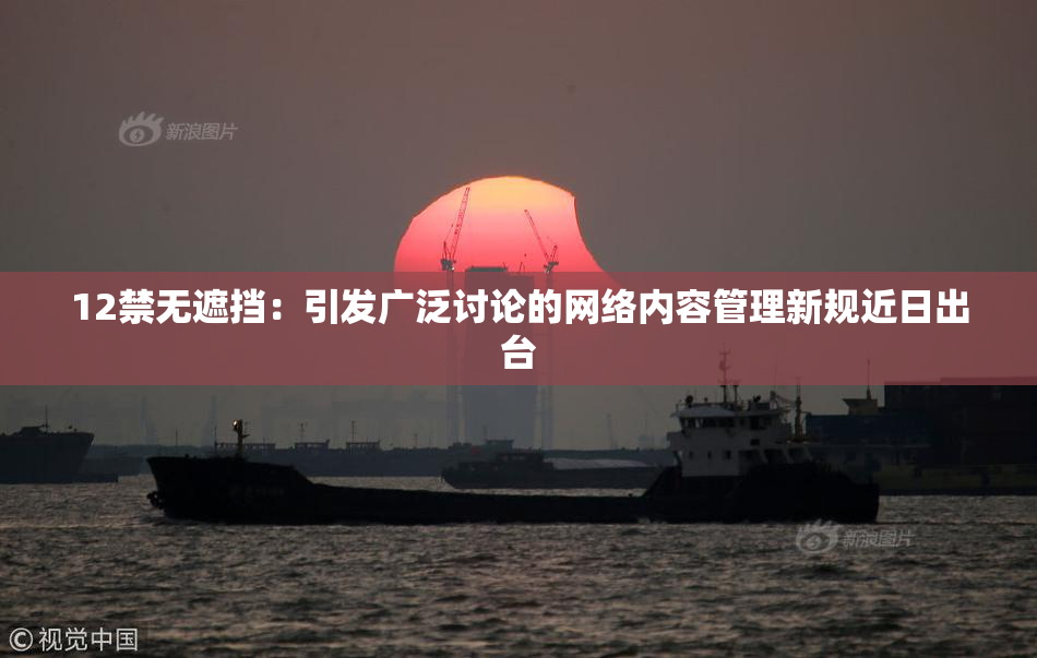 12禁无遮挡：引发广泛讨论的网络内容管理新规近日出台