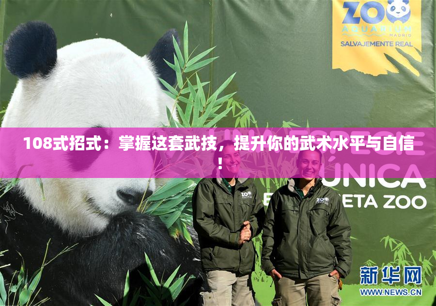 108式招式：掌握这套武技，提升你的武术水平与自信！