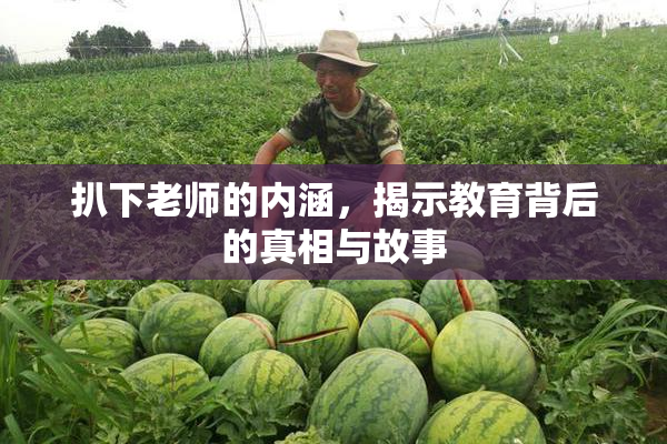扒下老师的内涵，揭示教育背后的真相与故事