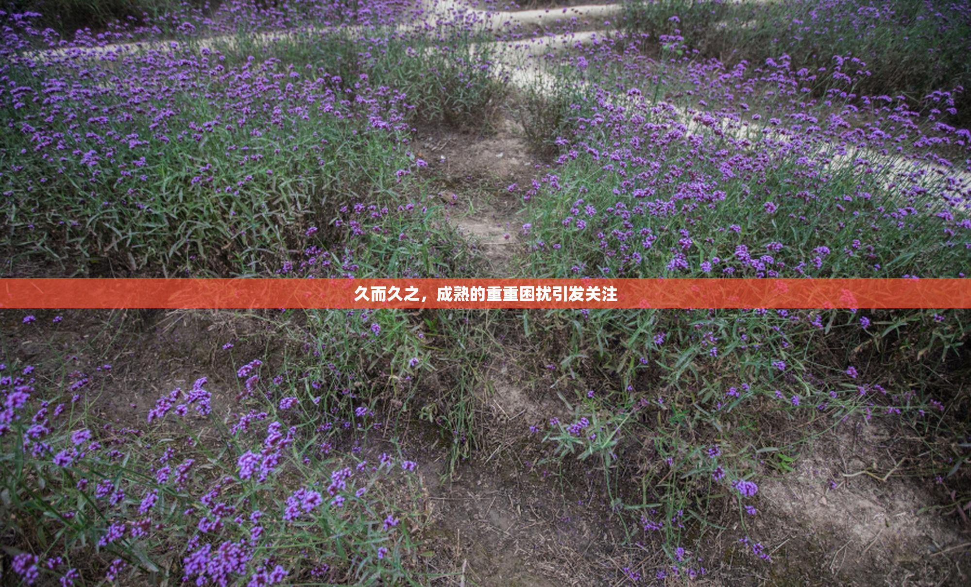 久而久之，成熟的重重困扰引发关注