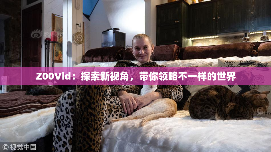 Z00Vid：探索新视角，带你领略不一样的世界