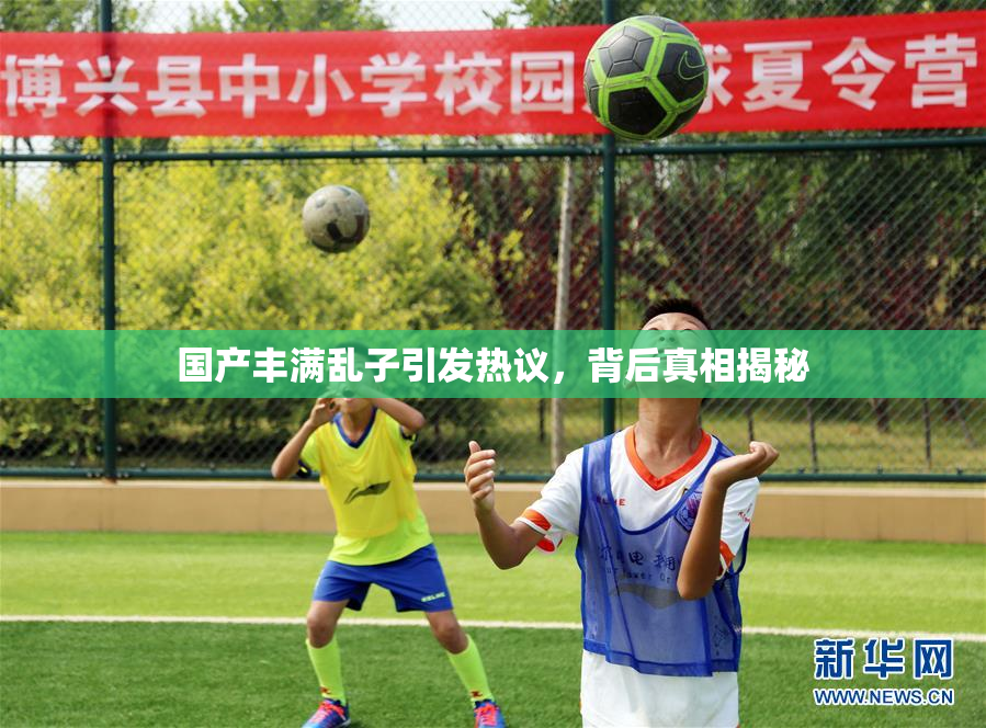 国产丰满乱子引发热议，背后真相揭秘