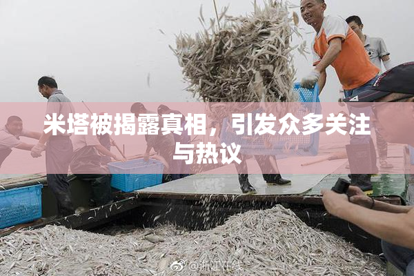 米塔被揭露真相，引发众多关注与热议
