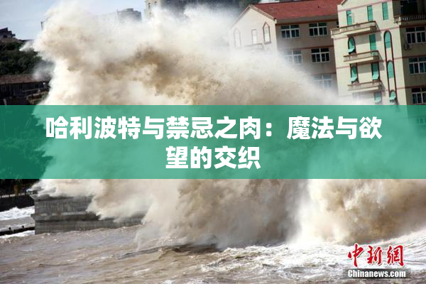 哈利波特与禁忌之肉：魔法与欲望的交织