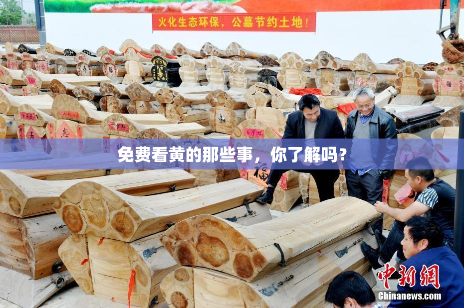 免费看黄的那些事，你了解吗？