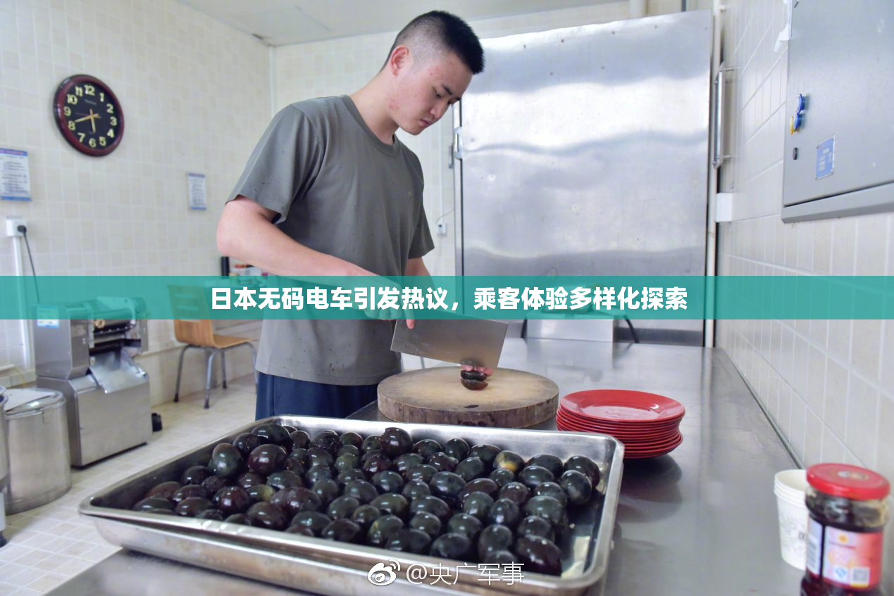 日本无码电车引发热议，乘客体验多样化探索
