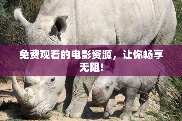 免费观看的电影资源，让你畅享无阻!