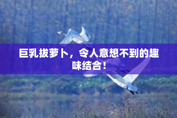 巨乳拔萝卜，令人意想不到的趣味结合！