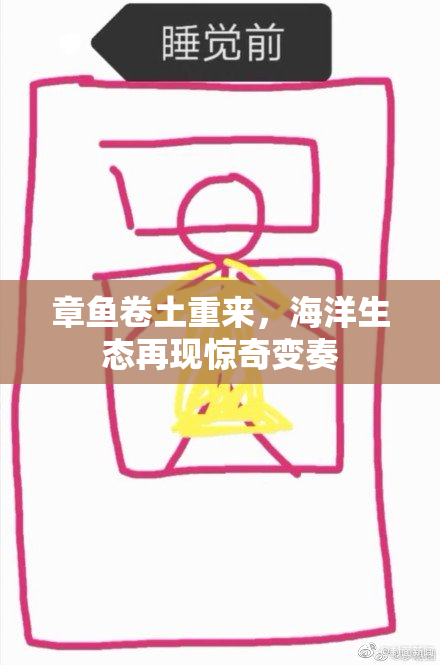 章鱼卷土重来，海洋生态再现惊奇变奏