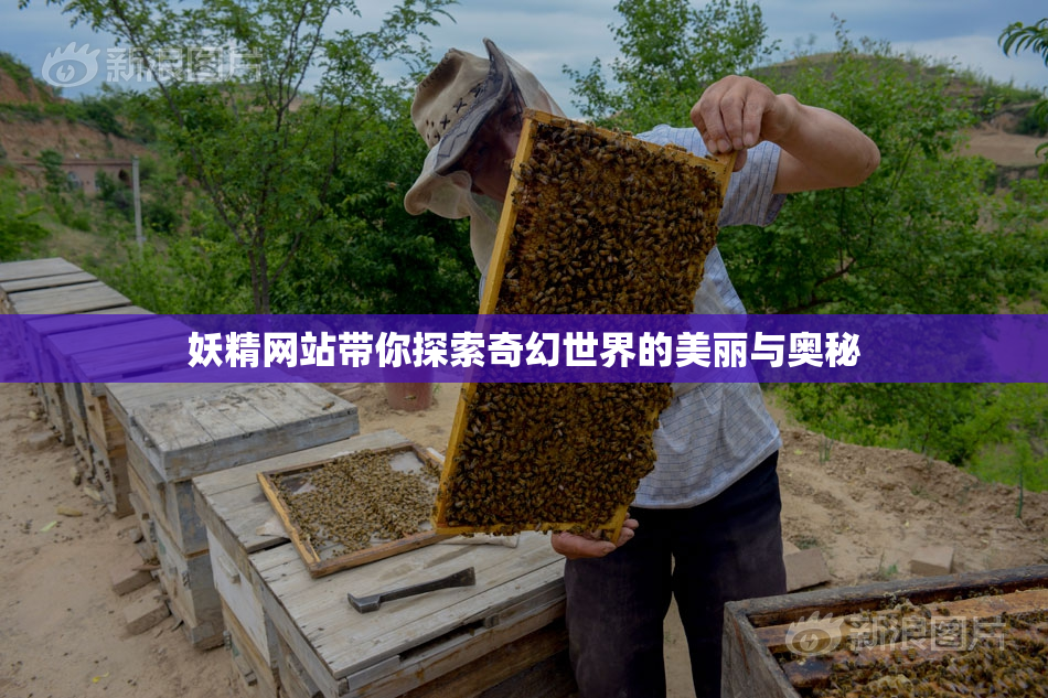 妖精网站带你探索奇幻世界的美丽与奥秘
