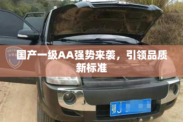 国产一级AA强势来袭，引领品质新标准