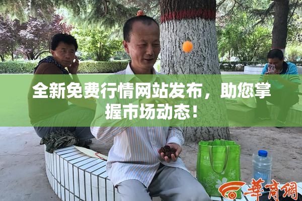 全新免费行情网站发布，助您掌握市场动态！