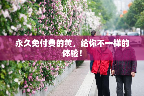 永久免付费的黄，给你不一样的体验！