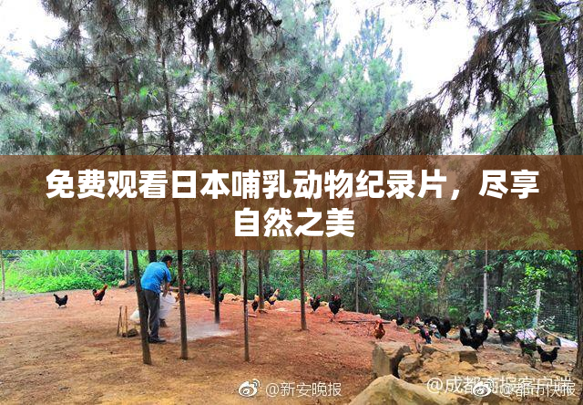 免费观看日本哺乳动物纪录片，尽享自然之美