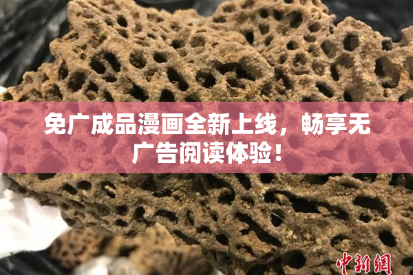免广成品漫画全新上线，畅享无广告阅读体验！