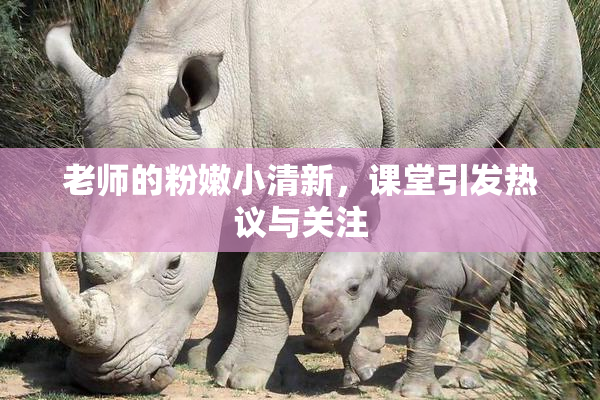 老师的粉嫩小清新，课堂引发热议与关注