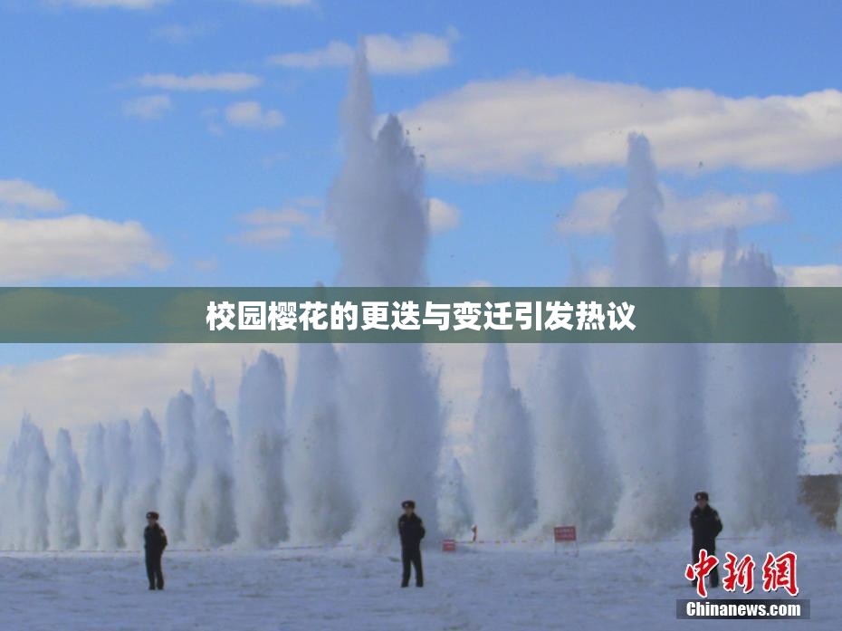 校园樱花的更迭与变迁引发热议