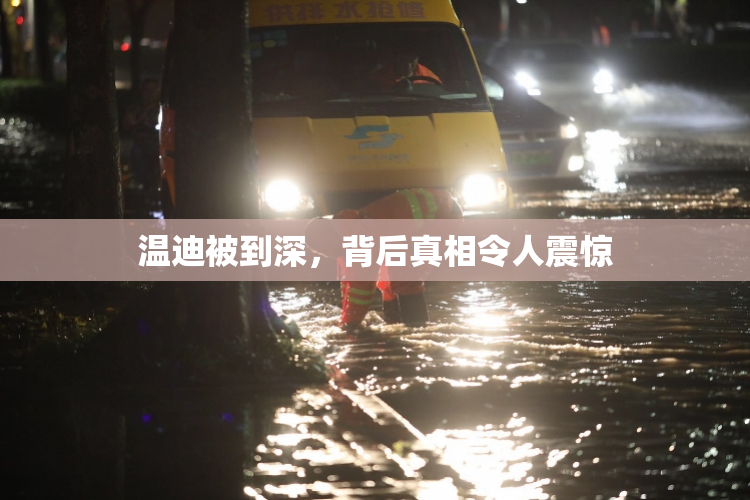温迪被到深，背后真相令人震惊