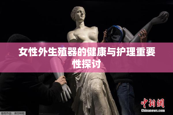 女性外生殖器的健康与护理重要性探讨