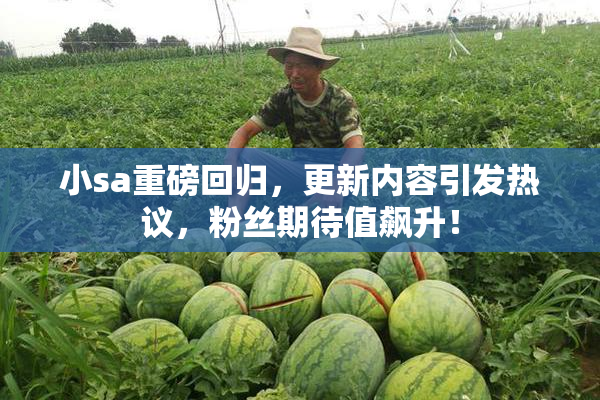 小sa重磅回归，更新内容引发热议，粉丝期待值飙升！