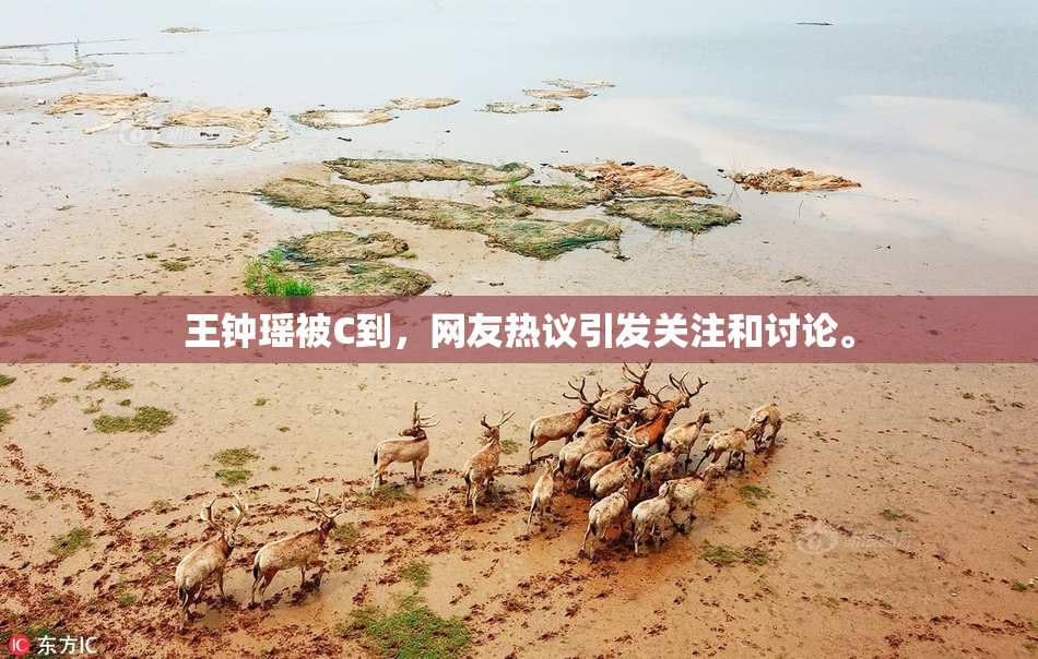 王钟瑶被C到，网友热议引发关注和讨论。