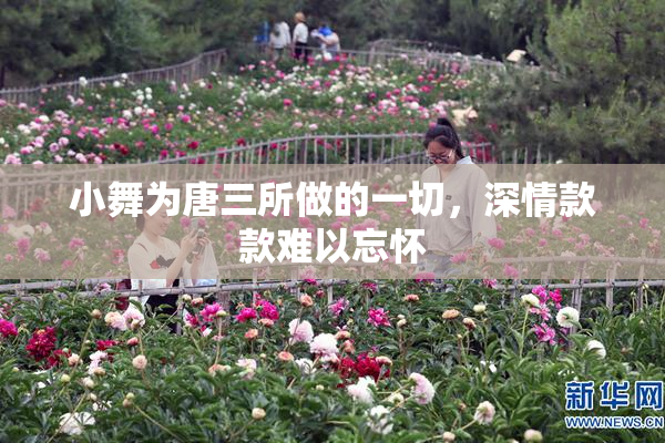 小舞为唐三所做的一切，深情款款难以忘怀