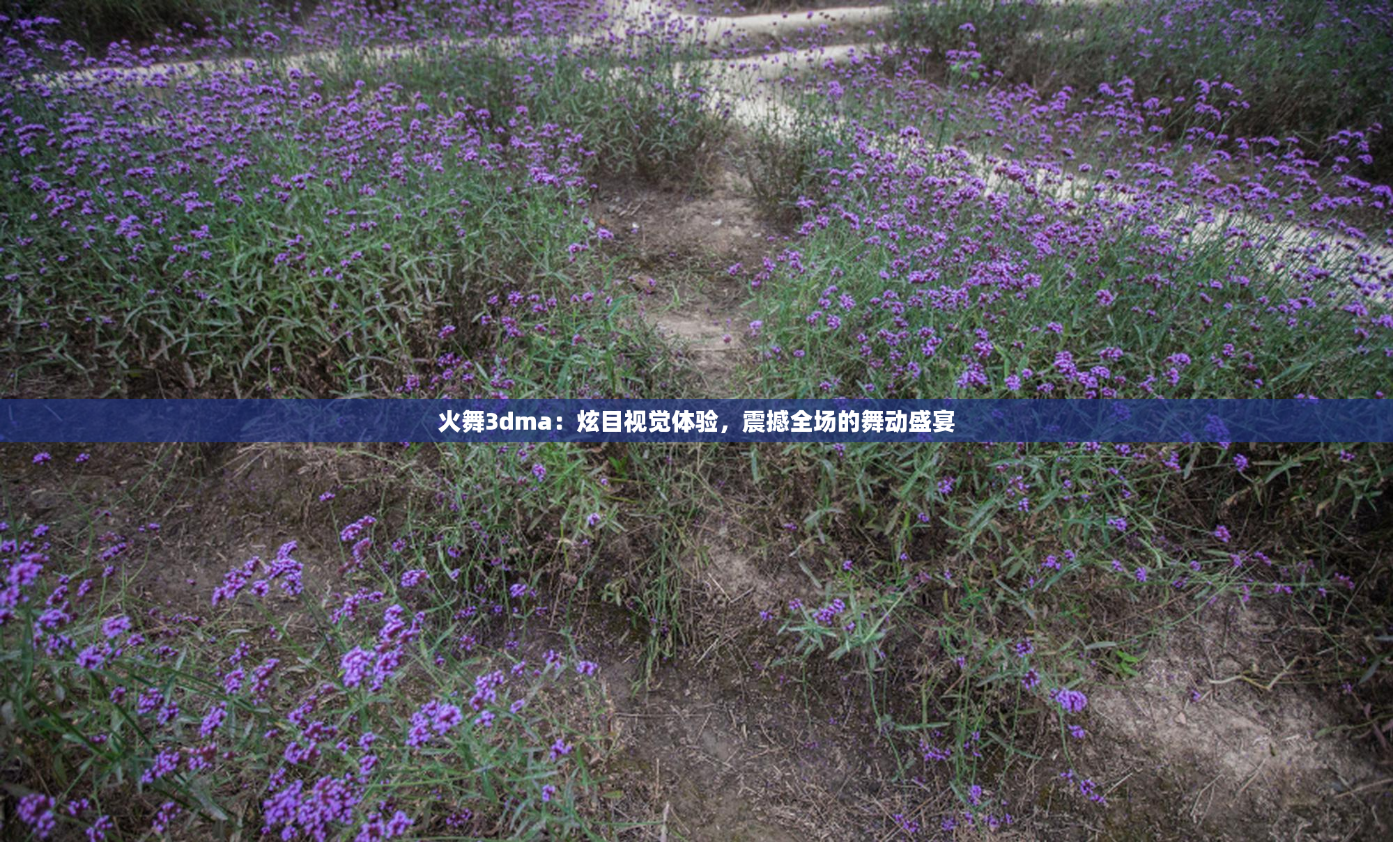火舞3dma：炫目视觉体验，震撼全场的舞动盛宴