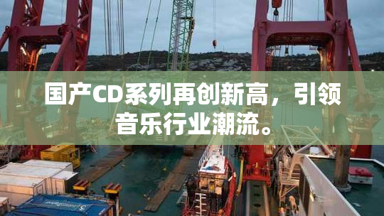 国产CD系列再创新高，引领音乐行业潮流。