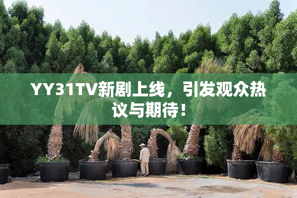 YY31TV新剧上线，引发观众热议与期待！