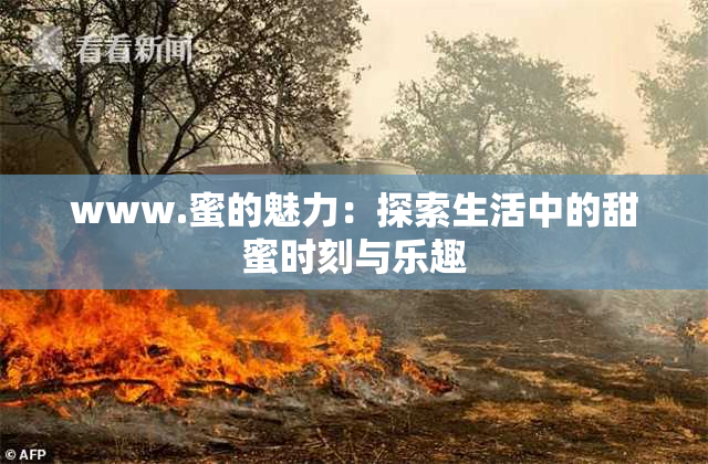 www.蜜的魅力：探索生活中的甜蜜时刻与乐趣