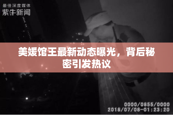 美媛馆王最新动态曝光，背后秘密引发热议