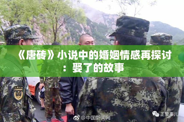 《唐砖》小说中的婚姻情感再探讨：娶了的故事