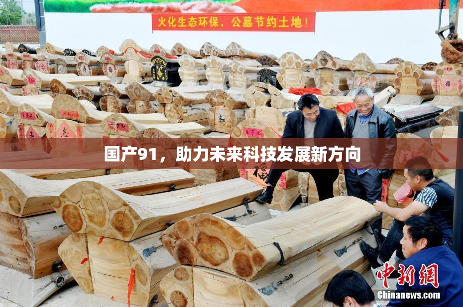 国产91，助力未来科技发展新方向