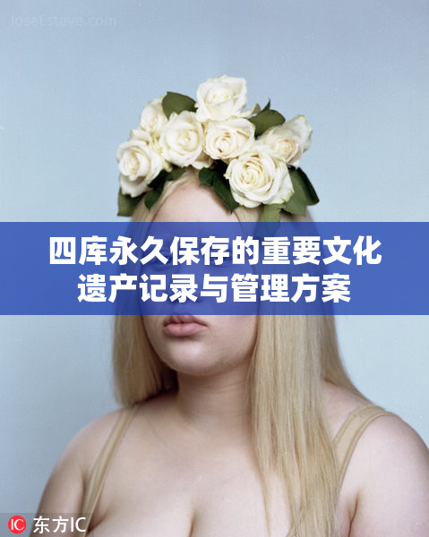 四库永久保存的重要文化遗产记录与管理方案