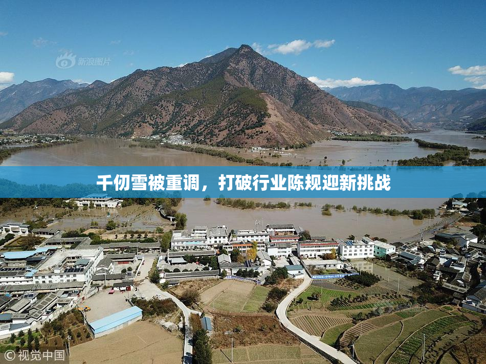 千仞雪被重调，打破行业陈规迎新挑战