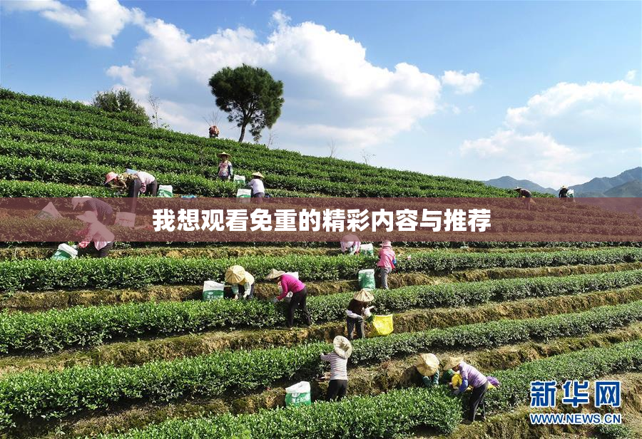我想观看免重的精彩内容与推荐