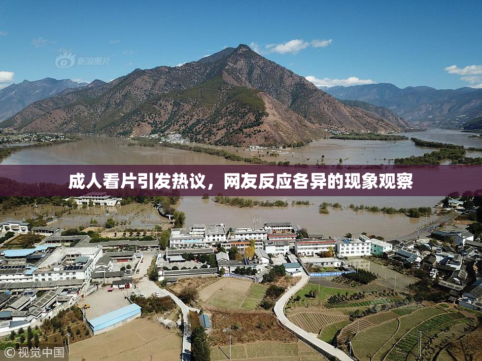 成人看片引发热议，网友反应各异的现象观察