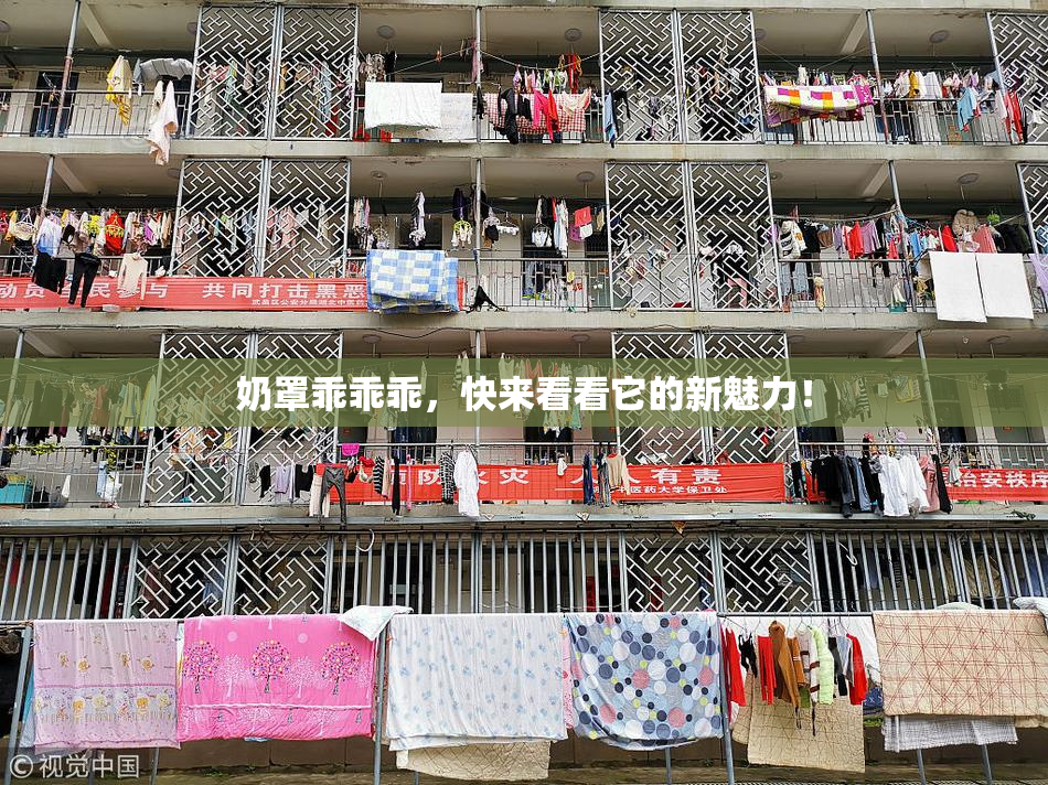 奶罩乖乖乖，快来看看它的新魅力！